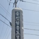 영월-81