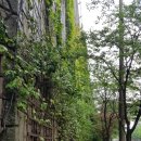 당구장가는길 이미지