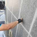 라임동물약품 이미지