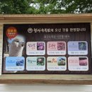 태안 여행 청산수목원에서 만난 사계절의 풍경 5월 출사지 추천 홍가시 팜파스 수국 핑크뮬리 군락지까지