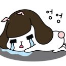 렉스디테일링 이미지