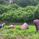 삼태농장 이미지