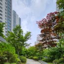 롯데한빛공인중개사사무소 이미지