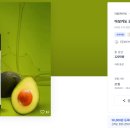 디자인아보카도