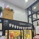 꽃집 | 오목교꽃집 후기 | 목동 사라플라워 목동점 꽃다발 추천