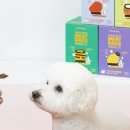 맘마농장 이미지