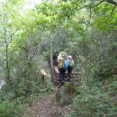 소백산 자락길 이미지