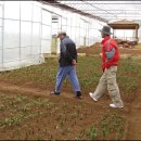 봉진농장 이미지