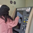 가호동24 이미지