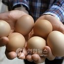 정상화농장 이미지