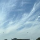 신창집 | [예산] 예산 당일치기 여행 :: 신창집, 예산시장, 예당호, 공주 카페내재