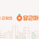 폼#반려견미용실 이미지