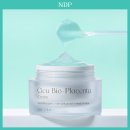 엔디피(NDP) 네이버블로그