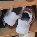 바운스복싱 | 다시는 돌아오지 않을 복싱 3일차.... 이야기