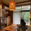 하랑민박 | 겨울 제주 w/ 솔팔 #3 : 볼고롱동백, 귤따기체험, 이승악오름, 베어파인, 도갈비 흑돼지, 그린게스트하우스