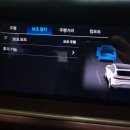 ALK 이미지