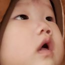 15개월9일차 아기 일상