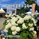 유구중학교 | 공주 유구 수국축제 다녀온 후기) 유구색동수국정원 주차정보 총정리