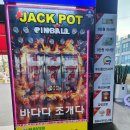 바다다 | 속초 조개구이 맛집 추천 🌊“바다다조개다” 솔직 후기 🐚🔥