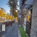이츠대전미장원에서 애쉬블루톤다운염색하기