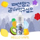 창신역전자담배 갈아먹구싶오 패션망고 신규 액상 리뷰