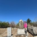 진달래약수터 | 천주산 진달래 북면 달천계곡주차장 코스