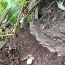 세지농장 이미지