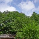 아카시아펜션 이미지