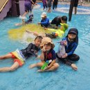 용인대홍익태권도장 이미지