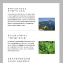 여수미미협동조합 이미지