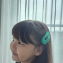 리본헤어 | 트루스리본핀 유아 헤어핀 후기