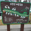 수인선 바람길 숲 이미지