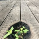 한마음자동차공업사 이미지