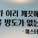 미스터크리닝 - 광명시 하안로287번길 15 | 미스터크리닝