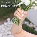 네일바이린 이미지