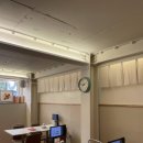 콩이랑 초이랑 이미지