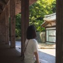 스테이 376(stay 376) | [해남 숙소 추천] 땅끝마을 100년 한옥스테이 두륜산 속 ‘유선관’, 카페 유선 후기
