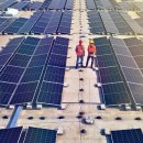 대한전력태양광제1발전소 이미지