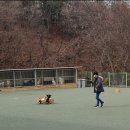 슈슈PC 이미지