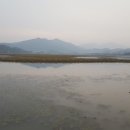 양덕동092 이미지