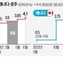 호주 캐나다 깜짝 금리인상 이미지