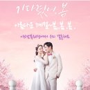 연은 결혼정보 네이버블로그
