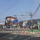 담우 이미지