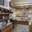 도토리몰 이미지