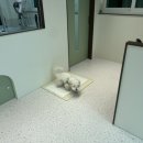 플로이몽 이미지