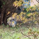 부춘산체육공원 이미지