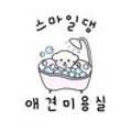 smile애견미용 이미지