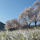 한풍루로 이미지