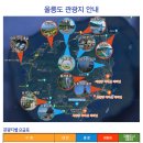 울릉도잠자리투어