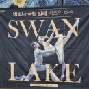 브라보컴 | [공연 관람] 바르나 국립 발레 {백조의 호수} 관람 후기